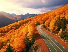 包含新疆广汇迎NBA季后赛关键赛，今晚强势反弹，震撼外界，纪律约束更严格的词条